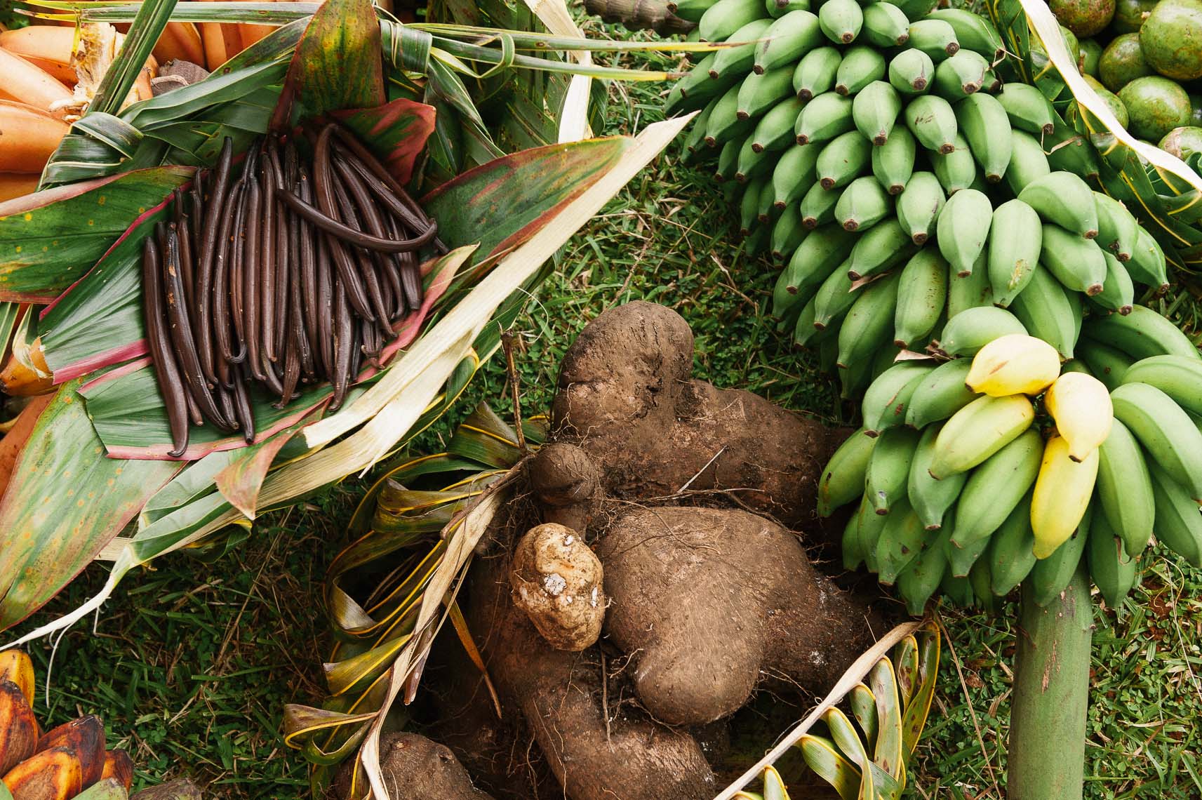 Niue-6240.jpg